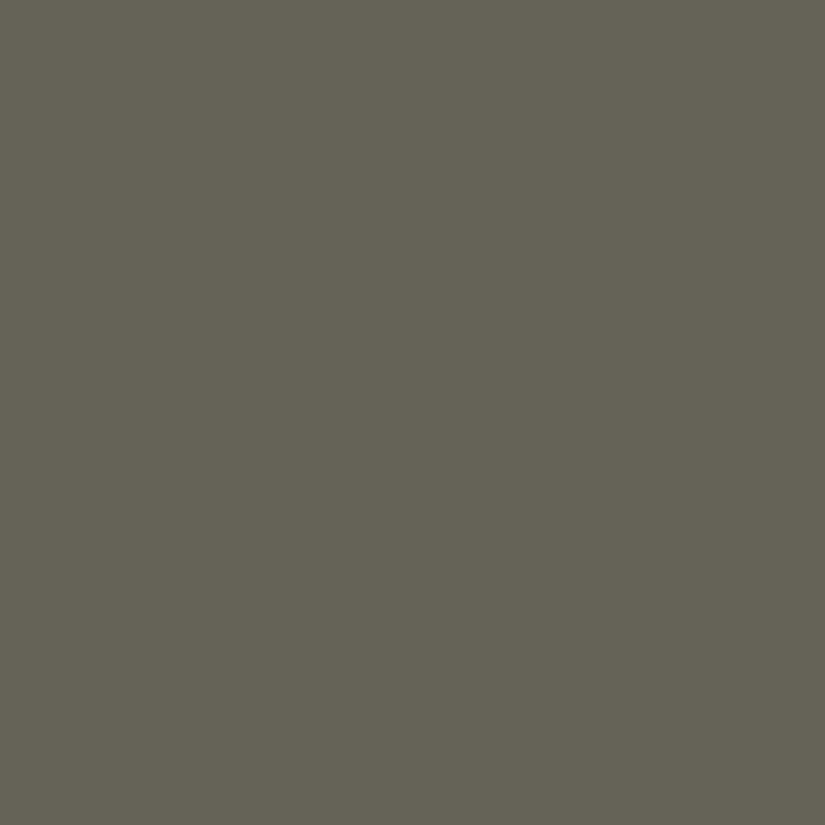 Escapism LS T-Shirt - Dusty Olive - Image 8